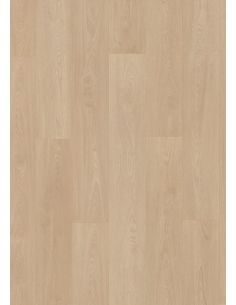 Evolve AC6 (Sin bisel)...