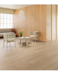 Evolve AC6 (Sin bisel)... 2