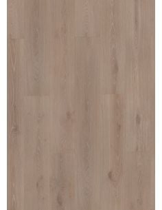 Evolve AC6 (Sin bisel)...