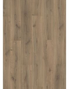 Evolve AC6 (Bisel 4V) Roble...