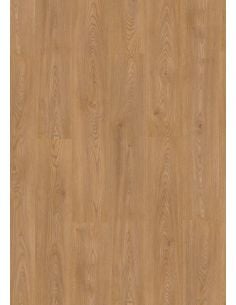 Evolve AC6 (Sin bisel)...