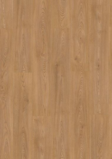 Evolve AC6 (Sin bisel) Roble Viena...