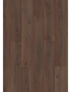 Evolve AC6 (Sin bisel)...