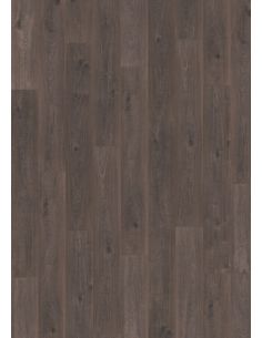 Evolve AC6 (Sin bisel)...