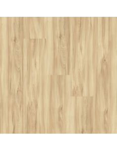 FAUS ECO Arce Deva