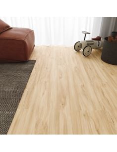 FAUS ECO Arce Deva 2