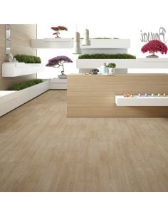 Supreme AC6 (Bisel 4V)... 2