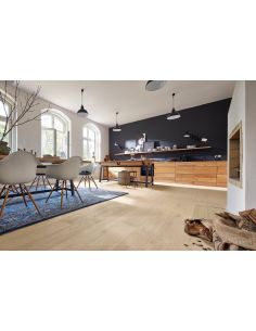 MEISTER PD400 Ref. 9003... 2