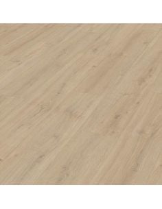 LD 250 Roble Roca Arena -...
