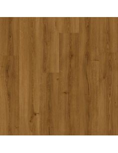 Bloom Alpha Vinyl Ref....
