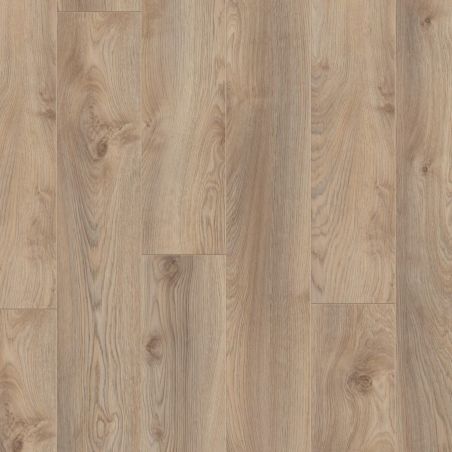 Roble Makro Beige Kronotex Mammut Plus D3669