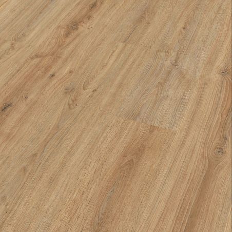 Roble Nova LC 150 Premium  6413