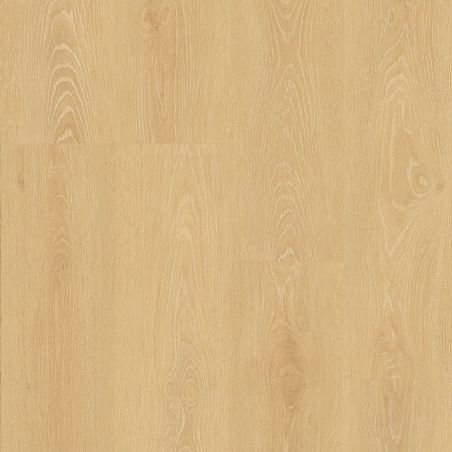 Roble Miranda S180109