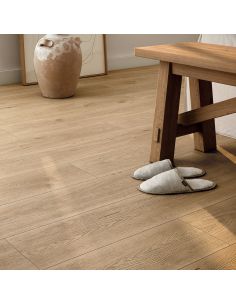 Evolve AC6 (Sin bisel)... 2