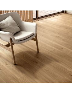 Evolve AC6 (Bisel 4V) Roble... 2