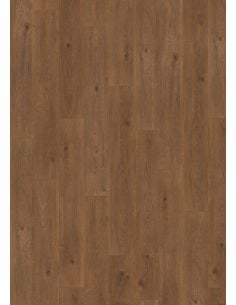 Evolve AC6 (Sin bisel)...