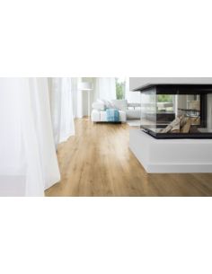 Tottal 193 Roble Berna D1936 2