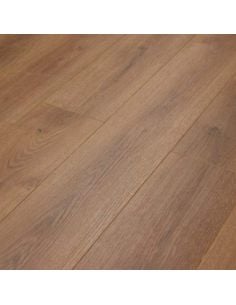 Promo 5 Roble Summer D3901